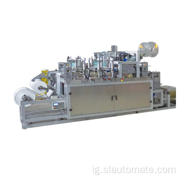 Pụrụ iche Plastic Elu plastic